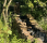 0x40-skarmavbild-2026-06-27-kl-185624.png