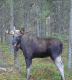 0x80-1000036916_hGroyox4QxLqSSn.png