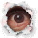 0x80-155397dbd9e302c3254b4c405d210501.gif