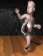 0x80-9e22425aea5b2053f2933805a37464a4.jpg
