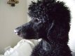 0x80-dsc03257.jpg