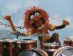 0x80-muppet_animal.jpg
