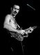 0x80-zappa.jpg