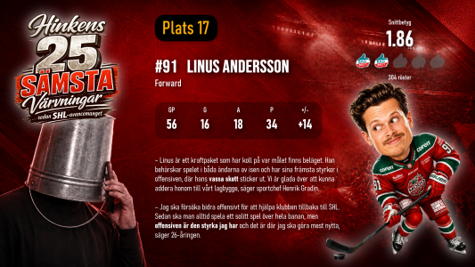 0x300-17-linus-andersson.png