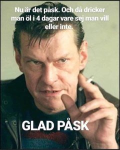 0x300-34314d26-9cba-4595-bab1-4093a96edd3d.jpeg