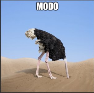 0x300-img9694.jpeg
