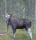 0x40-1000036916_hGroyox4QxLqSSn.png