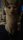 0x40-attadfrwi47rvcrwxpd5u79z4u507z0fg46lf74gdnmx4u.jpeg