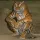 0x40-img6968_AkW5jvFs6OTXxA8.webp