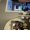 0x40-thumbnailimg0307_6EAwKHYnUOuZcJS.jpg