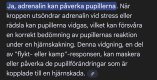 0x80-img1157.jpeg