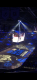 0x80-img6488.png