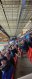 0x80-received273075138810676.jpeg