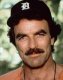 0x80-selleck.jpg