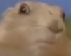 0x80-skarmavbild-2022-02-24-kl-205833.png