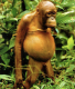 0x80-skarmavbild-2022-03-13-kl-205605.png