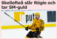 0x80-sportbladets.png
