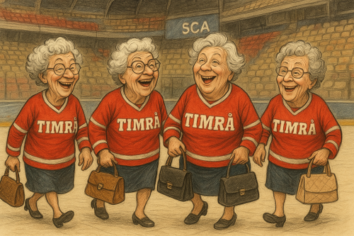500x0-hockeyentusiaster-pa-promenad-i-timra.png