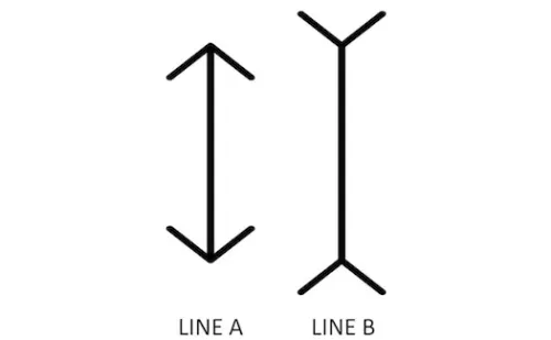 500x0-linjer2.webp