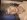 0x20-img0366.jpeg