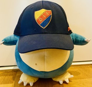 0x300-img5847_pnIiiHJhr2nXIrP.jpeg