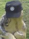 0x80-bifstubbe.jpg