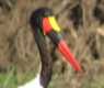0x80-brynasstork.png