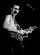 0x80-zappa.jpg